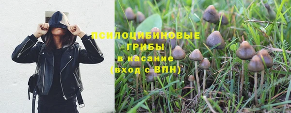 jwh Алзамай