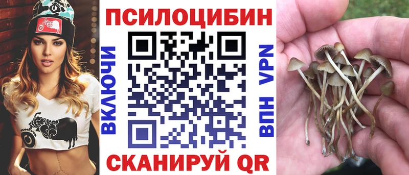 Галлюциногенные грибы GOLDEN TEACHER Кореновск